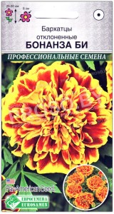 Бархатцы отклоненные Бонанза би