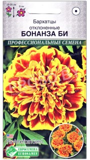 Бархатцы отклоненные Бонанза би