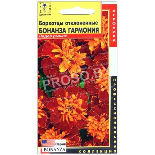 Бархатцы отклоненные Бонанза гармония