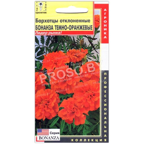 Бархатцы отклоненные Бонанза темно-оранжевые