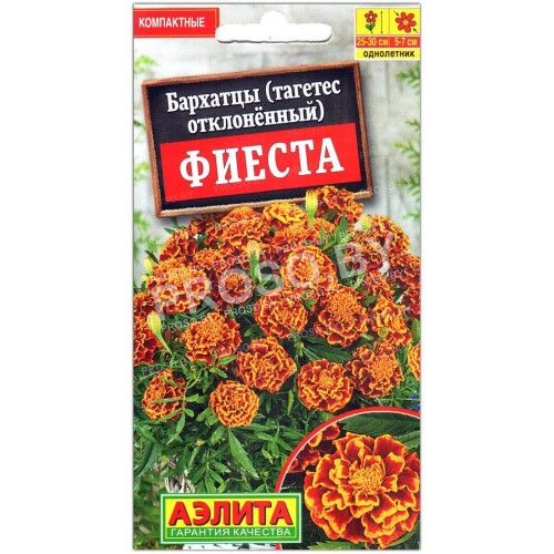 Бархатцы отклоненные Фиеста