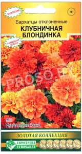 Бархатцы отклоненные Клубничная блондинка