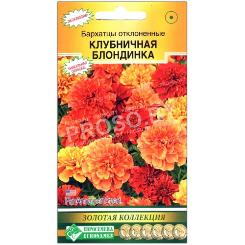Бархатцы отклоненные Клубничная блондинка