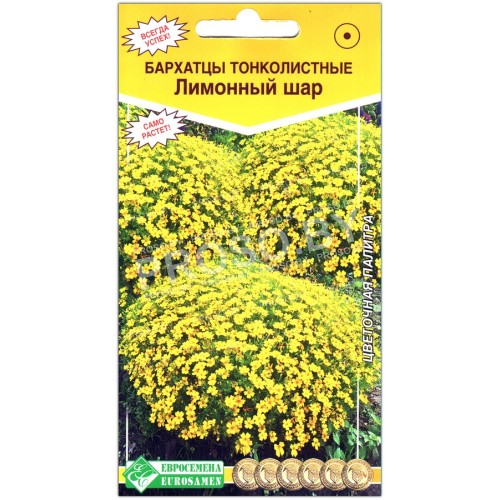 Бархатцы тонколистные Лимонный шар