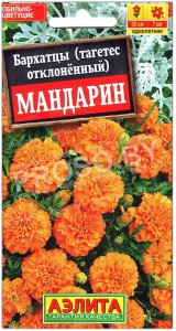 Бархатцы отклоненные Мандарин