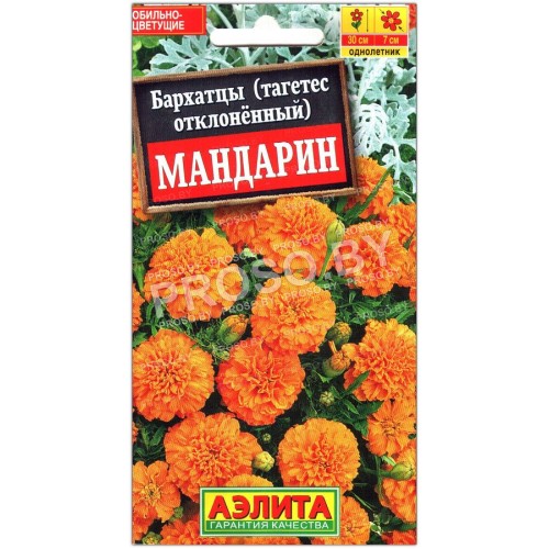 Бархатцы отклоненные Мандарин