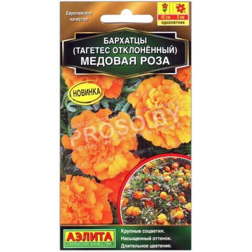 Бархатцы отклоненные Медовая роза