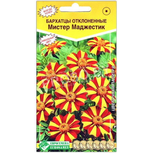 Бархатцы отклоненные Мистер маджестик