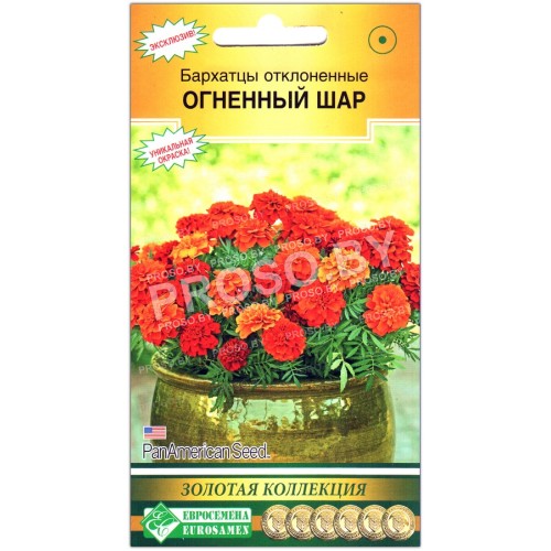 Бархатцы отклоненные Огненный шар-1