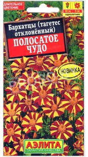 Бархатцы отклоненные Полосатое чудо