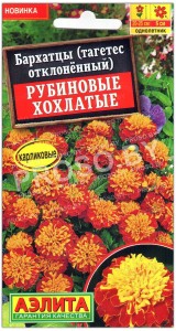 Бархатцы отклоненные Рубиновые хохлатые