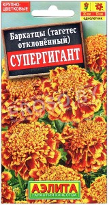 Бархатцы отклоненные Супергигант