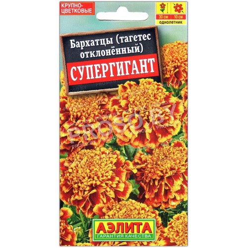 Бархатцы отклоненные Супергигант