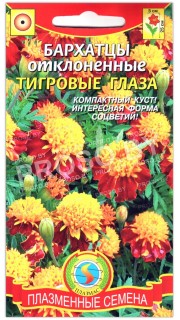 Бархатцы отклоненные Тигровые глаза