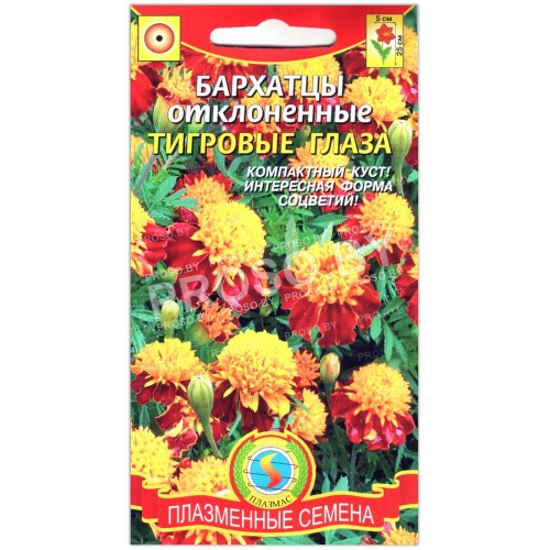 Бархатцы отклоненные Тигровые глаза
