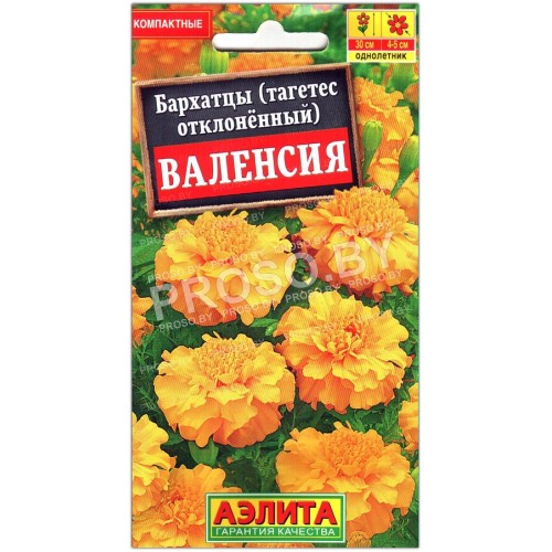 Бархатцы отклоненные Валенсия