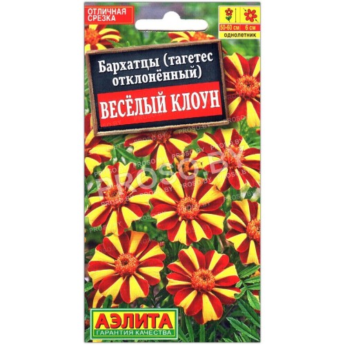 Бархатцы отклоненные Веселый клоун-1