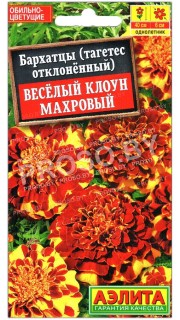 Бархатцы отклоненные Веселый клоун махровый