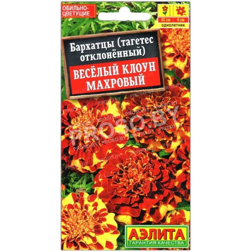 Бархатцы отклоненные Веселый клоун махровый