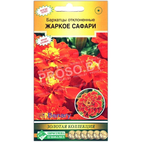 Бархатцы отклоненные Жаркое сафари