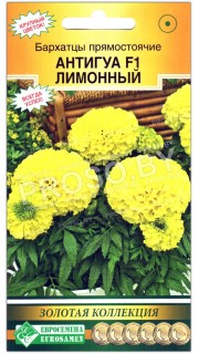 Бархатцы прямостоячие Антигуа лимон (лимонный) F1