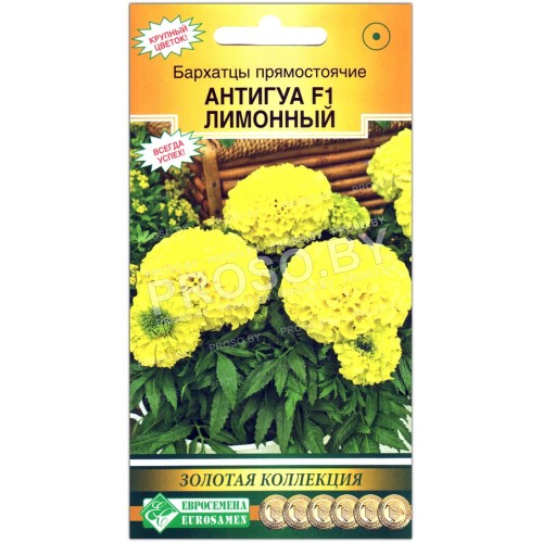 Бархатцы прямостоячие Антигуа лимон (лимонный) F1