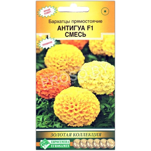 Бархатцы прямостоячие Антигуа микс (смесь) F1-1