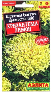 Бархатцы прямостоячие Хризантема лимон