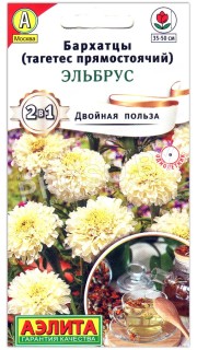 Бархатцы прямостоячие Эльбрус