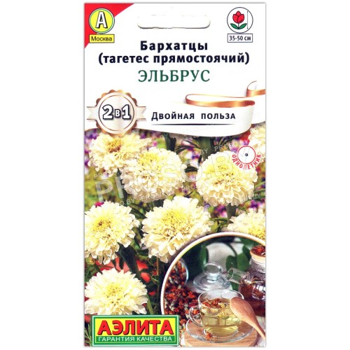 Бархатцы прямостоячие Эльбрус