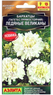 Бархатцы прямостоячие Ледяные великаны