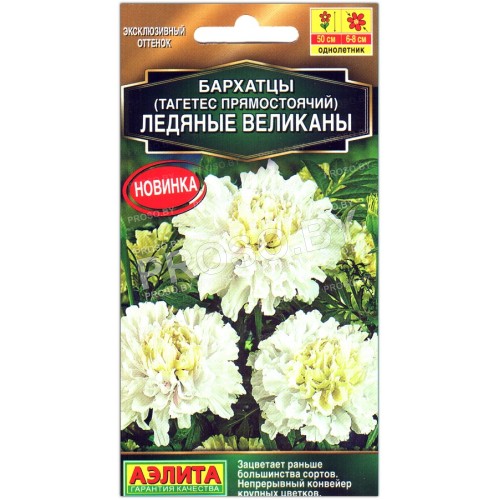 Бархатцы прямостоячие Ледяные великаны