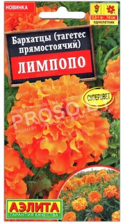 Бархатцы прямостоячие Лимпопо