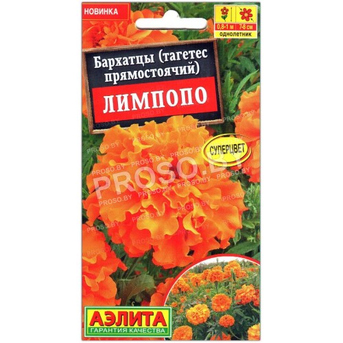 Бархатцы прямостоячие Лимпопо