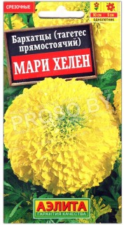Бархатцы прямостоячие Мари хелен