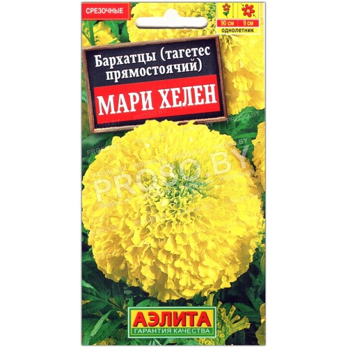 Бархатцы прямостоячие Мари хелен