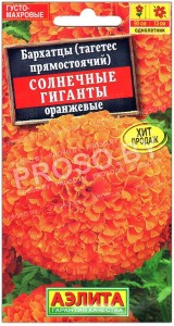 Бархатцы прямостоячие Солнечные гиганты оранжевые