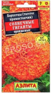 Бархатцы прямостоячие Солнечные гиганты оранжевые