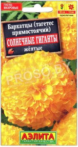 Бархатцы прямостоячие Солнечные гиганты желтые