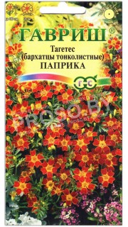 Бархатцы тонколистные Паприка