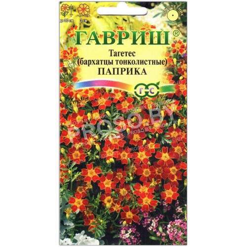 Бархатцы тонколистные Паприка