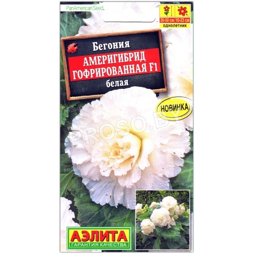 Бегония Америгибрид гофрированная белая F1