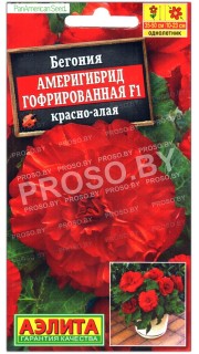 Бегония Америгибрид гофрированная красно-алая F1