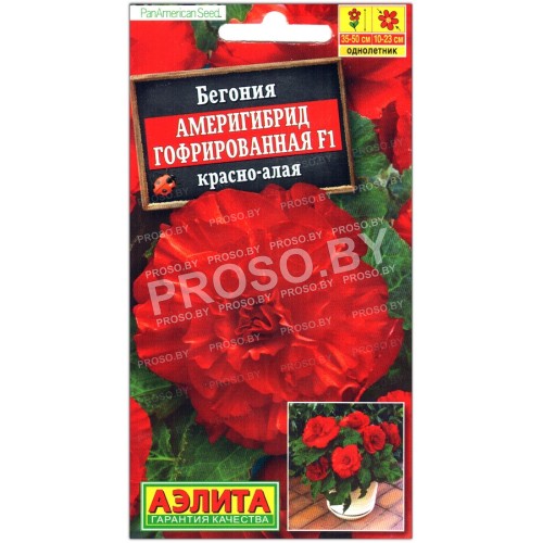 Бегония Америгибрид гофрированная красно-алая F1