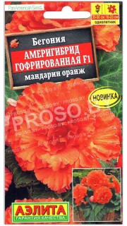 Бегония Америгибрид гофрированная мандарин оранж F1