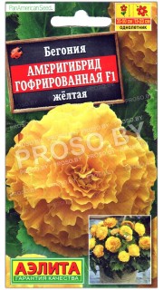 Бегония Америгибрид гофрированная желтая F1