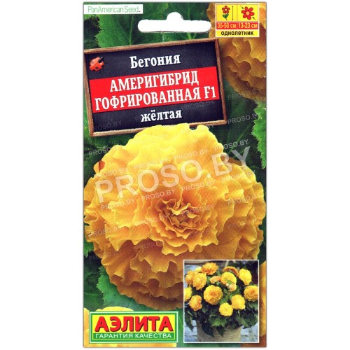 Бегония Америгибрид гофрированная желтая F1