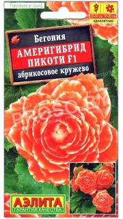 Бегония Америгибрид пикоти абрикосовое кружево F1