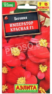 Бегония Император красная F1