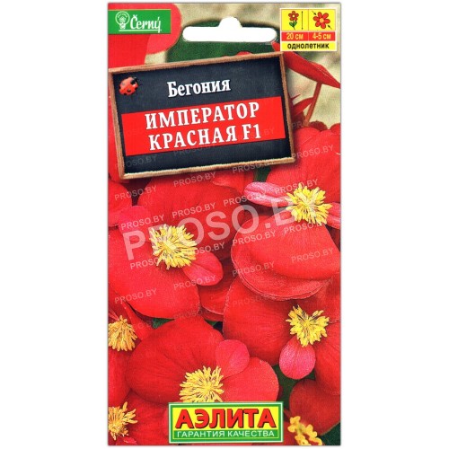 Бегония Император красная F1